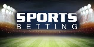 Everything You Need to Know About arda bet 2 Everything You Need to Know About arda bet 2